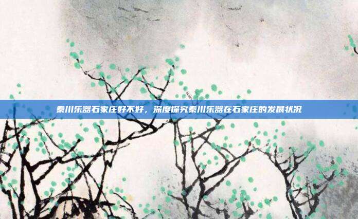 秦川乐器石家庄好不好,深度探究秦川乐器在石家庄的发展状况
