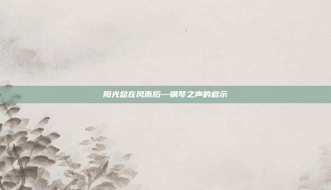 阳光总在风雨后—钢琴之声的启示