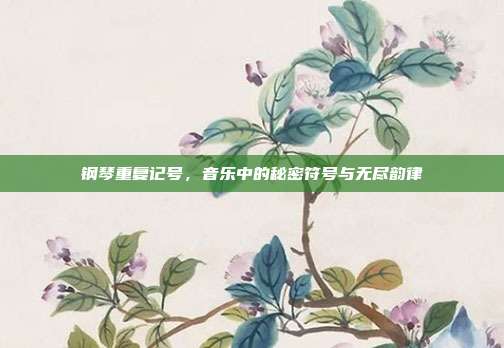 钢琴重复记号,音乐中的秘密符号与无尽韵律