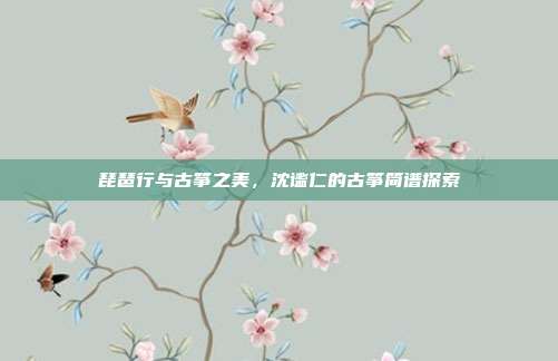 琵琶行与古筝之美,沈谧仁的古筝简谱探索