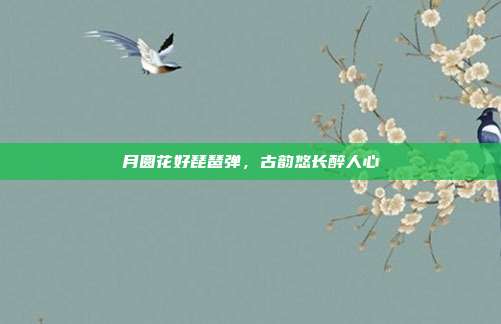 月圆花好琵琶弹,古韵悠长醉人心