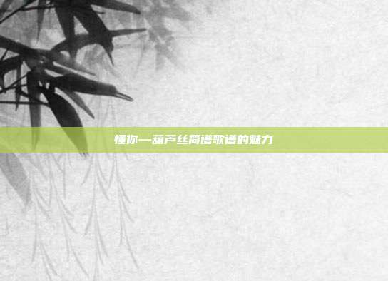 懂你—葫芦丝简谱歌谱的魅力