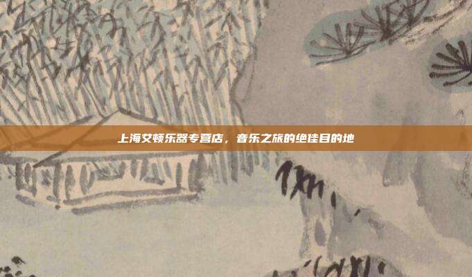 上海艾顿乐器专营店，音乐之旅的绝佳目的地