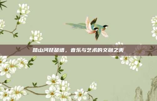 踏山河琵琶谱,音乐与艺术的交融之美