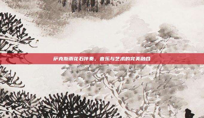 萨克斯雨花石伴奏,音乐与艺术的完美融合