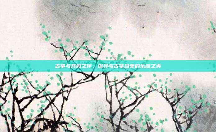 古筝与共鸣之伴,探寻与古筝合奏的乐器之美