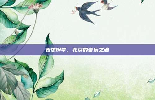 姜杰钢琴，北京的音乐之魂