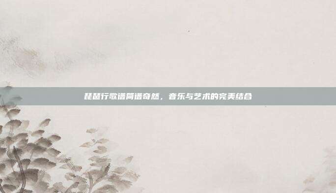 琵琶行歌谱简谱奇然,音乐与艺术的完美结合