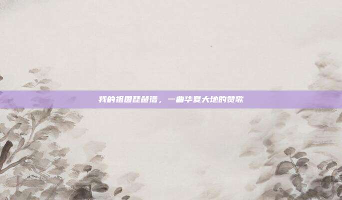我的祖国琵琶谱,一曲华夏大地的赞歌