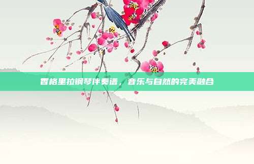 香格里拉钢琴伴奏谱,音乐与自然的完美融合