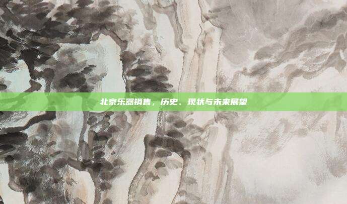 北京乐器销售,历史、现状与未来展望