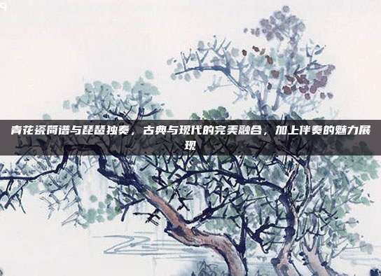 青花瓷简谱与琵琶独奏,古典与现代的完美融合,加上伴奏的魅力展现