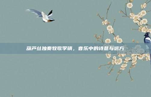 葫芦丝独奏牧歌李镇,音乐中的诗意与远方
