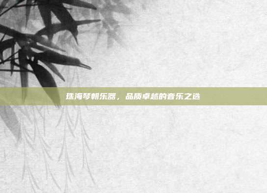珠海琴朝乐器，品质卓越的音乐之选