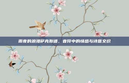 雨夜的浪漫萨克斯谱,音符中的情感与诗意交织