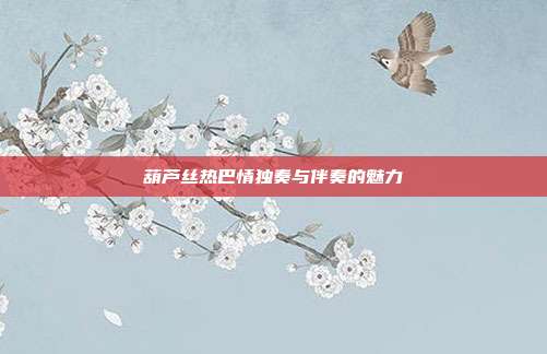葫芦丝热巴情独奏与伴奏的魅力