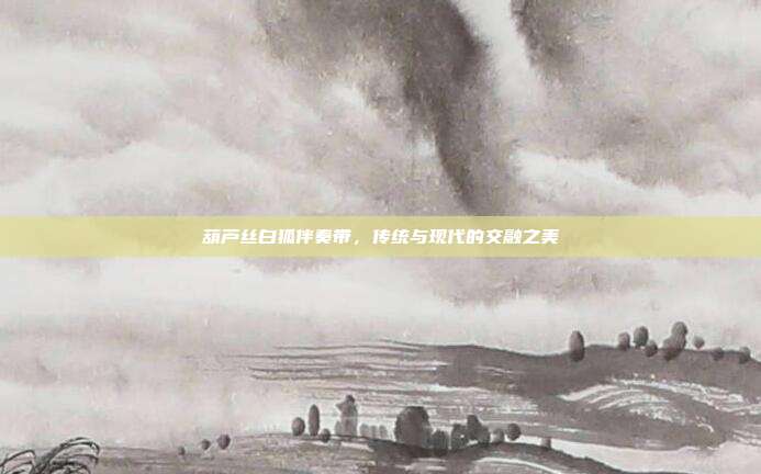 葫芦丝白狐伴奏带,传统与现代的交融之美