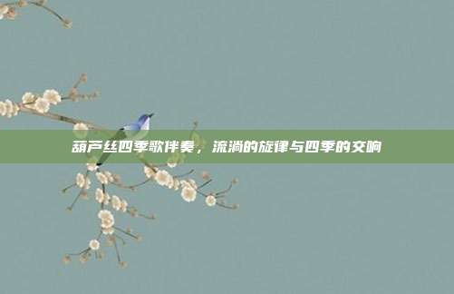 葫芦丝四季歌伴奏,流淌的旋律与四季的交响