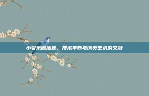 小号乐器活塞,技术革新与演奏艺术的交融