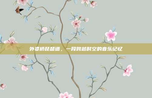 外婆桥琵琶谱,一段跨越时空的音乐记忆