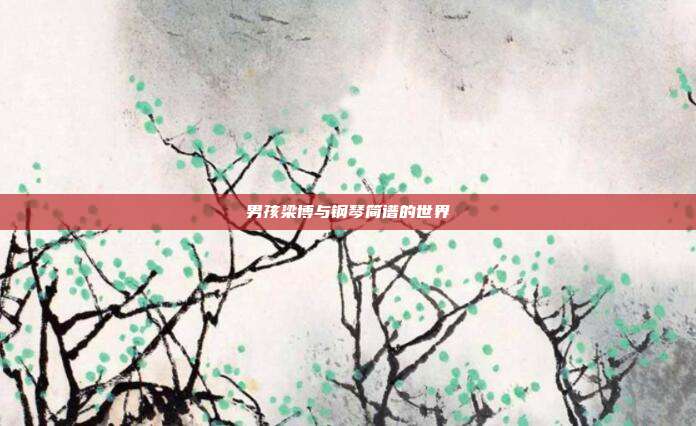 男孩梁博与钢琴简谱的世界