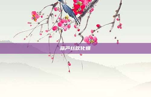 葫芦丝吹化蝶