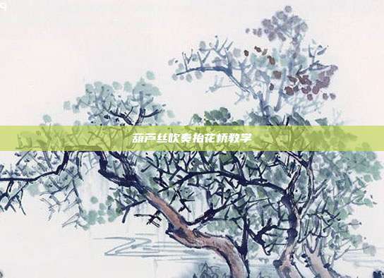 葫芦丝吹奏抬花桥教学