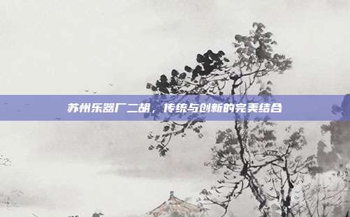苏州乐器厂二胡,传统与创新的完美结合