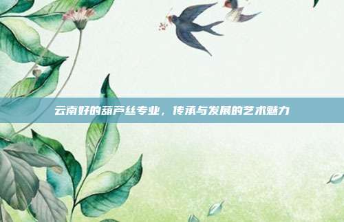 云南好的葫芦丝专业，传承与发展的艺术魅力