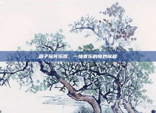 盒子摇晃乐器，一场音乐的奇妙旅程