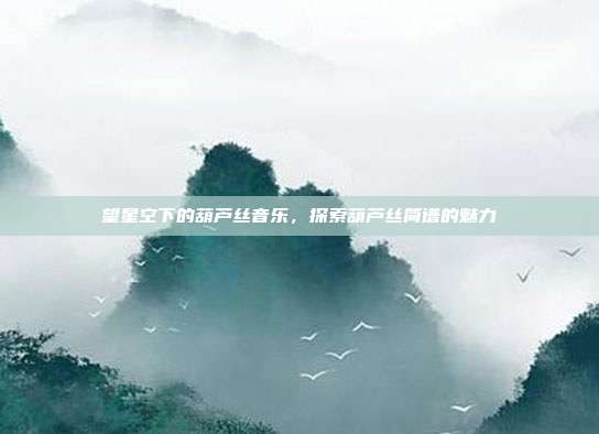望星空下的葫芦丝音乐,探索葫芦丝简谱的魅力