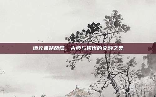 追光者琵琶谱,古典与现代的交融之美