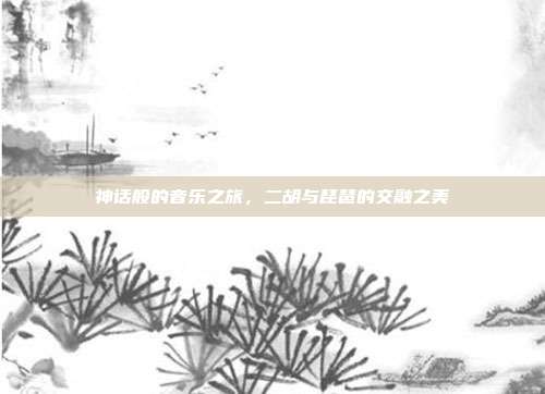 神话般的音乐之旅,二胡与琵琶的交融之美