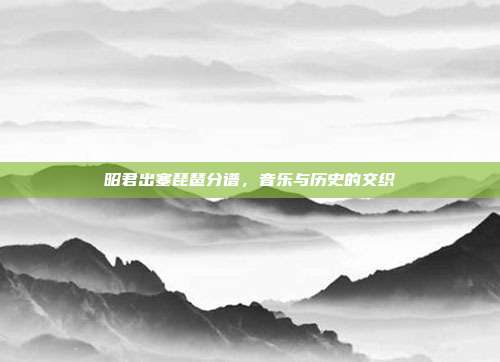 昭君出塞琵琶分谱,音乐与历史的交织