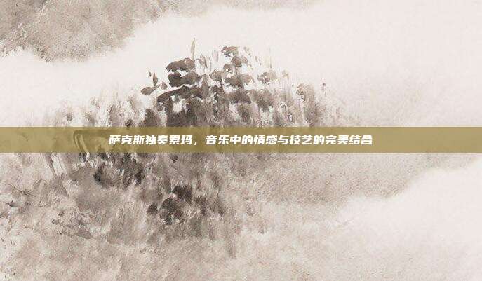 萨克斯独奏索玛,音乐中的情感与技艺的完美结合