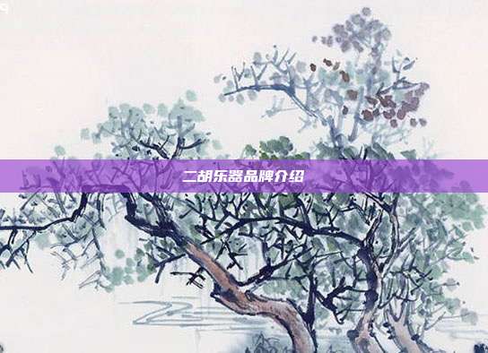 二胡乐器品牌介绍