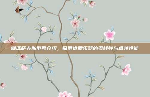 柳泽萨克斯型号介绍,探索优质乐器的多样性与卓越性能
