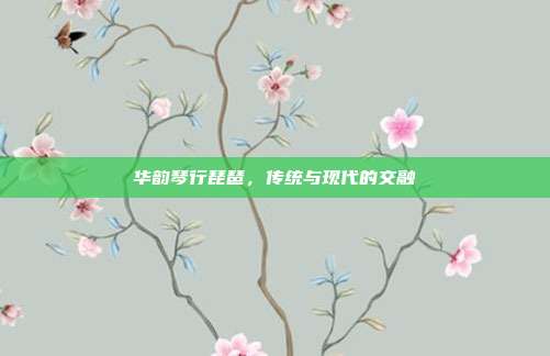 华韵琴行琵琶,传统与现代的交融