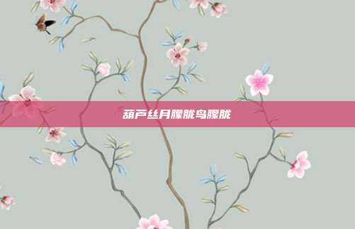 葫芦丝月朦胧鸟朦胧