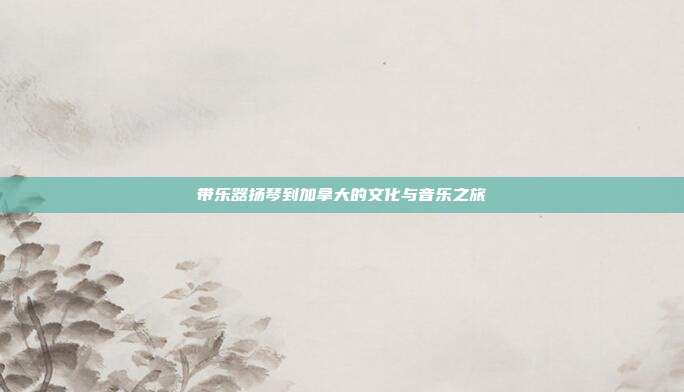 带乐器扬琴到加拿大的文化与音乐之旅