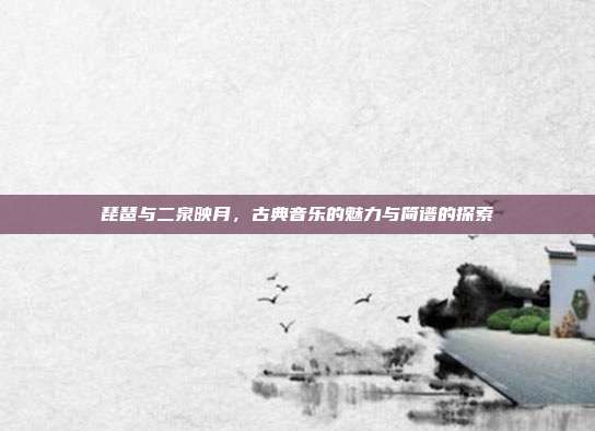 琵琶与二泉映月,古典音乐的魅力与简谱的探索