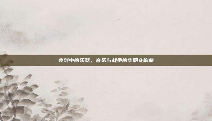 亮剑中的乐器，音乐与战争的华丽交响曲