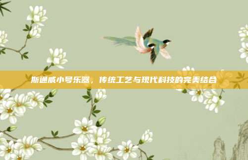 斯通威小号乐器,传统工艺与现代科技的完美结合
