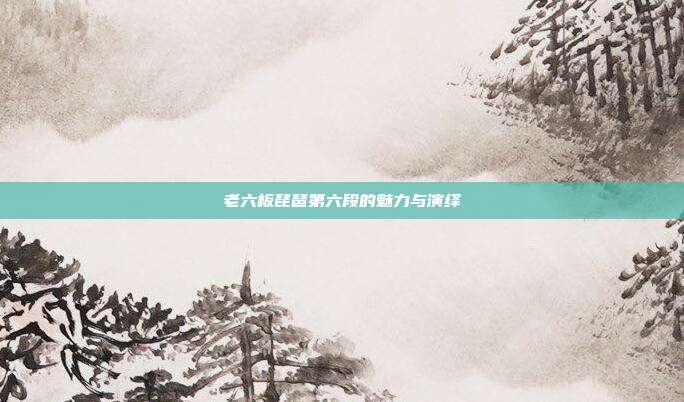 老六板琵琶第六段的魅力与演绎