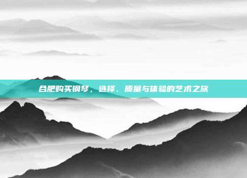 合肥购买钢琴,选择、质量与体验的艺术之旅