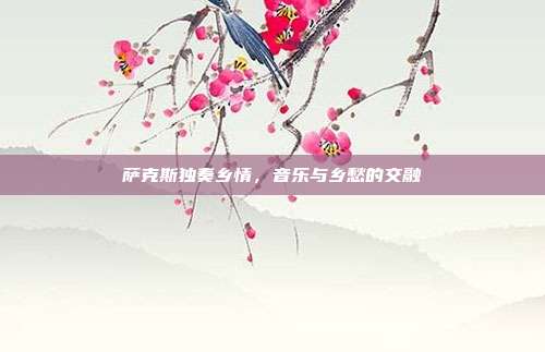 萨克斯独奏乡情，音乐与乡愁的交融