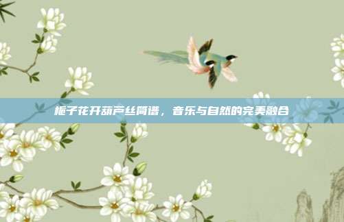 栀子花开葫芦丝简谱,音乐与自然的完美融合