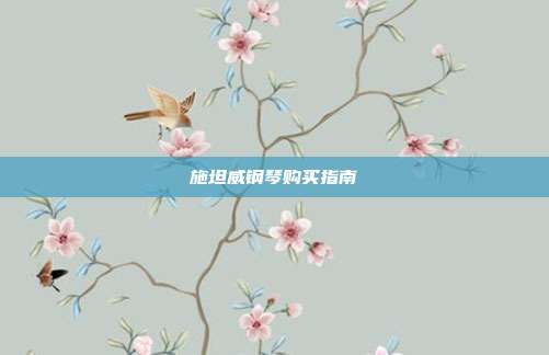 施坦威钢琴购买指南