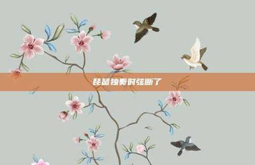 琵琶独奏时弦断了