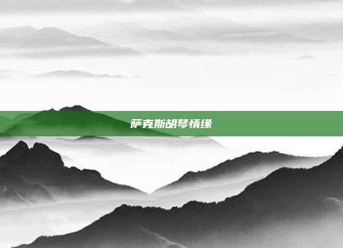 萨克斯胡琴情缘